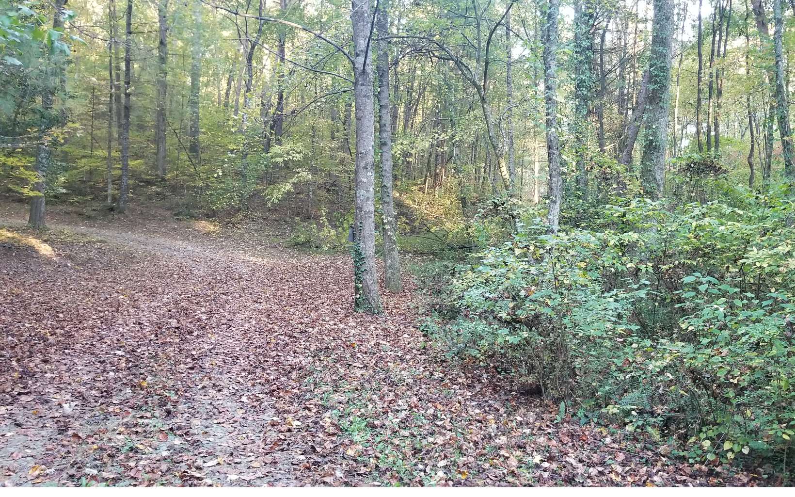 Just over 6 UNRESTRICTED acres in Gilmer County. Gorgeous wooded serene land with gentle slopes and plentiful building spots. Super private with a road bed already in place. A true must see! More photos coming soon!