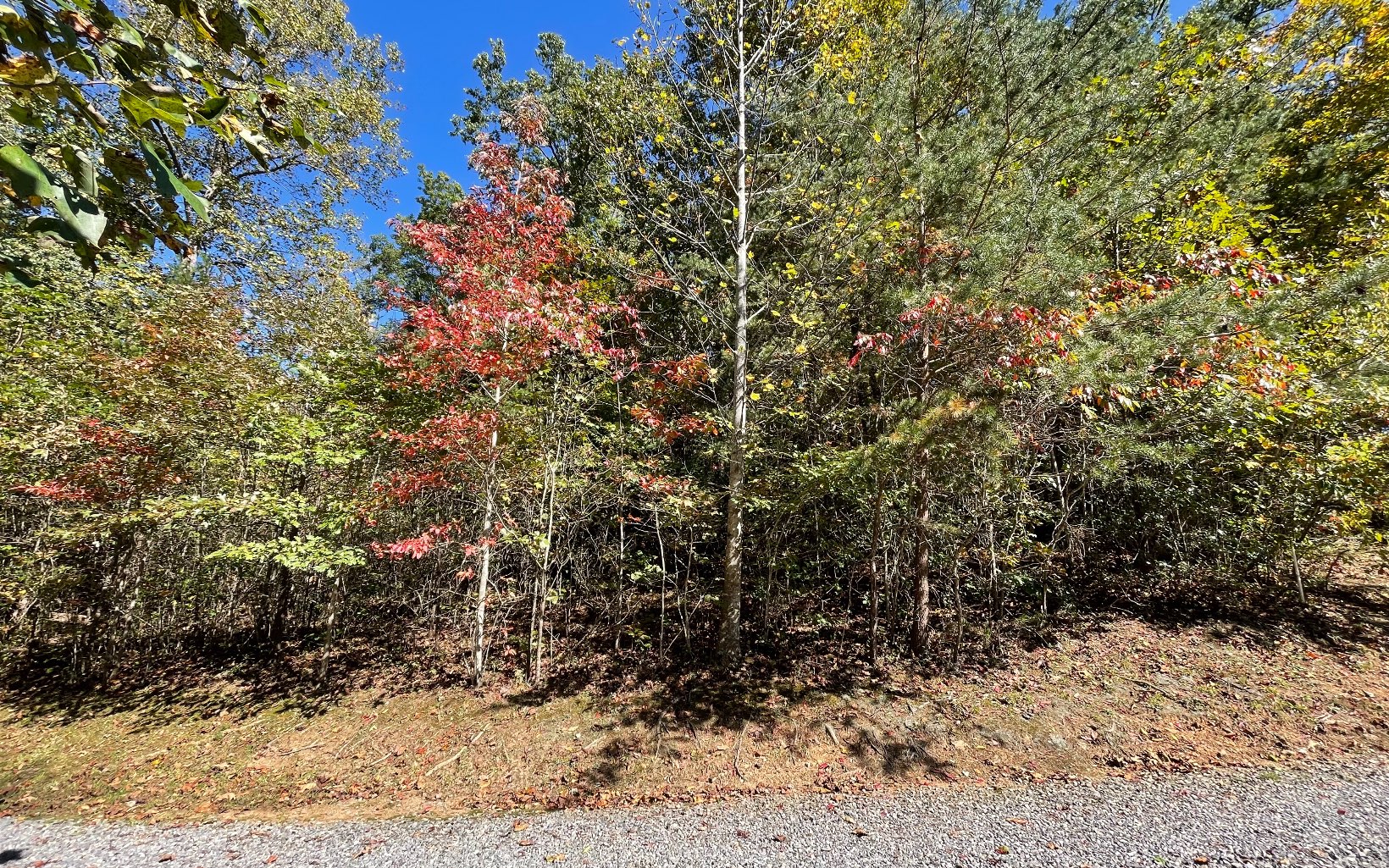 NICE LOT IN NICE SUBDIVISION IN THE NORTH GEORGIA MOUNTAINS!! Wonderful subdivision with upscale and well kept homes. Underground utilities, paved streets, close to town. Great building site with mountain views, come build that dream home, or weekend getaway.