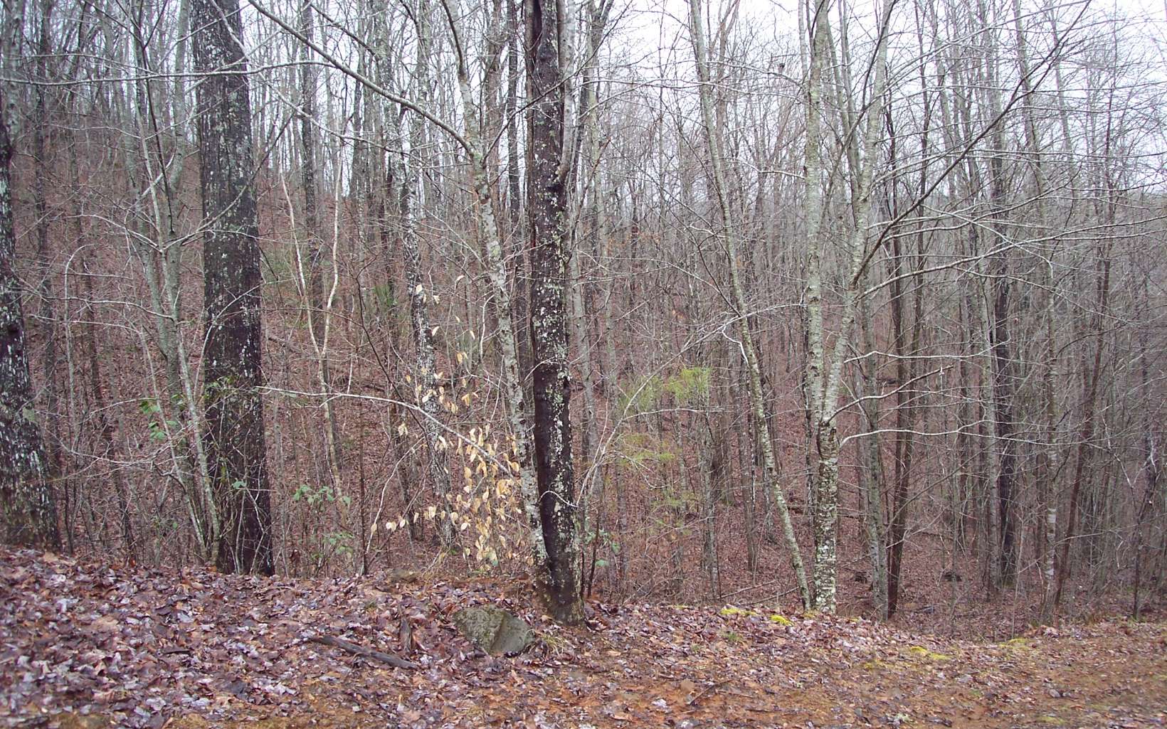Wonderful deep wooded views from beautiful Lot 13A in Autumn Ridge Subdivision. This is a relatively small Subdivision with minimal covenants & restrictions designed to protect your investment, and not be a hassle for the owner. Nicely laying land with great building sites. All paved roads for easy access. Privacy and quiet, yet within 5 miles to either Hayesville, North Carolina or Hiawassee, Georgia. Additional contiguous acreage with great mountain & Lake Chatuge views is available to provide an even greater private retreat for your mountain cabin/home. See Lots #11A and #17 @ $19,500 each MLS 315921 and 315923.