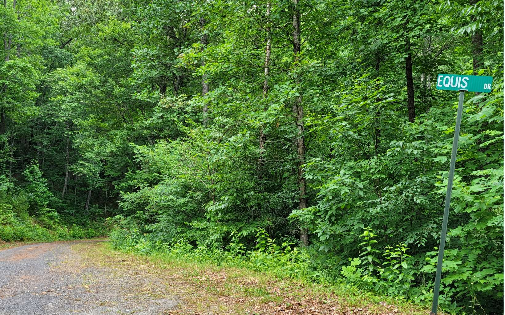 Private and tranquil GATED subdivision. Lot 2 is a Designated Equestrian Unit with at least 3 spring heads! The source of fresh spring mountain water is sure to attract deer and other wildlife to quench their thirst, too. Exceptionally priced 3.6 acre plat is nestled in the very desirable and popular North GA Mountains. The purpose of the restrictive covenants is to protect the value and attractiveness intended for residential or vacation homesites while also maintaining a private community w/ adequate lot sizes that offer a forest type setting with harmony and seclusion. The intent is to ensure the perpetual preservation of the natural beauty of this unique mountain community. Enjoy the convenience of paved roads, underground utilities, and county water. Must see! Priced to Sell!