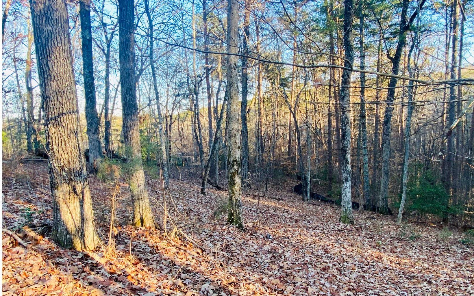 This 1.22 acre lot located in the desirable Ivy Ridge Estates Community is the Perfect Location to build your Dream Home or Mountain Retreat. It is conveniently tucked away between historic downtown Blue Ridge & McCaysville. This lot offers a seasonal Mountain View with a gentle sloping terrain & small stream that flows the length of the lot. It is located within a Cul de sac for additional privacy and may be accessed with ease from the front or side of the property. All within minutes to the Hospital, Medical facilities, Schools & so much more. This is a gorgeous community with newly constructed homes and reasonable HOA fees. If your Dream is to Build your own custom Mountain Retreat, then Let Your Dreams begin here in Ivy Ridge Estates!