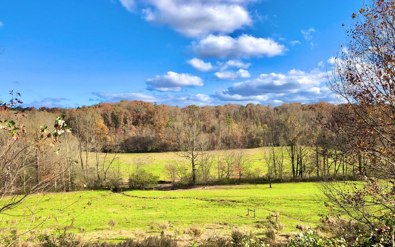 Gorgeous 85.38 +/- acre dream property that truly has it all! Long range views, roughly 55 acres of fenced pasture, nearly half a mile of 30’ wide Holden Creek frontage, 5 freshwater springs, stocked pond, 800’ of frontage on a secondary creek, working corrals, rustic barns, out buildings, wildlife/security camera system, super home site w/septic, well & power. The back wooded acreage is a hunter's paradise as it has been managed & is thriving w/ trophy white tailed deer, turkey & black bears. Current resident cattle are not for sale, however, a different starter herd could be negotiated on a separate Bill of Sale.