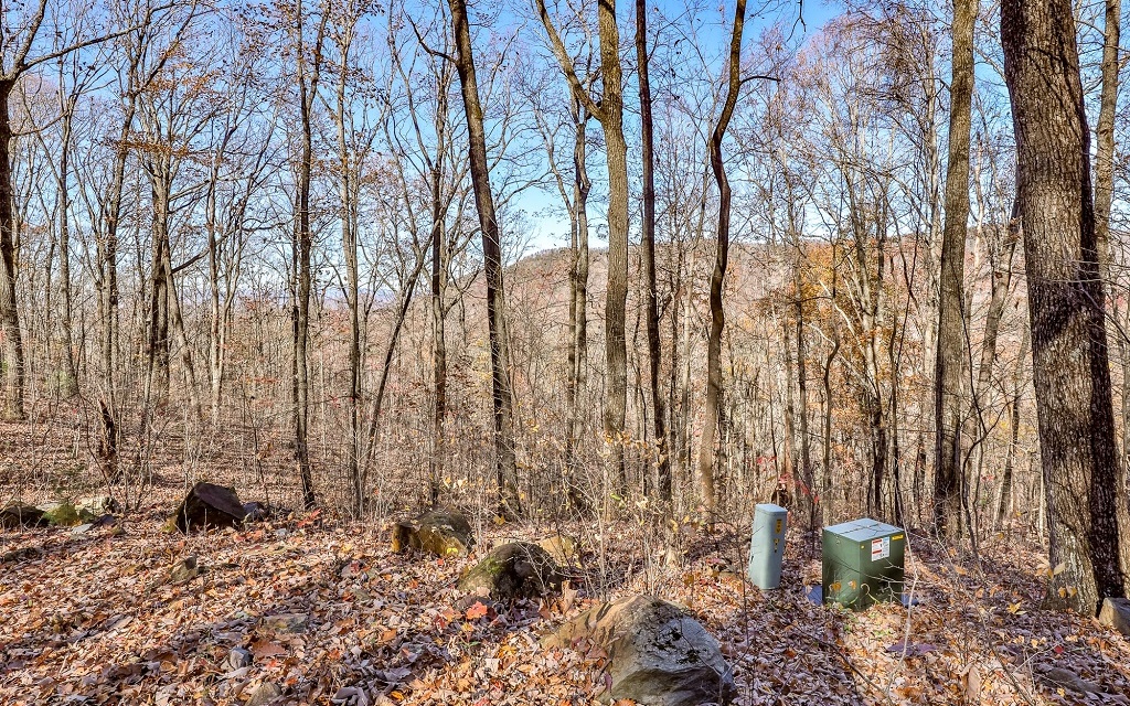 Minutes from town but miles from the hustle and bustle, retreat to The Hemlocks along rushing Turniptown Creek through some of the most picturesque scenery in the north GA mountains. This oversized lot features all pavement access, community water, underground power, and a gently sloping cut-in driveway for access to an ideal build spot. With some moderate clearing, a beautiful long range westerly sunset view can be expanded and also allow for big short range views to the north. Lower portion of lot has a small stream running through the property surrounded by huge hardwoods. Come see why this premier, established community feels so uniquely special!