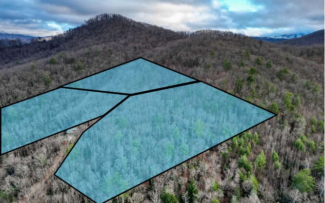 These 3 adjoining lots border 88k acres of USFS land, ensuring no new development and giving you peace of mind. Located at the end of a paved road in a quiet subdivision, the lots offer the craved 360-degree mountain view, close proximity to DT Blairsville, and wooded privacy you’re looking for. Fortenberry Creek Retreat is located in the heart of Owltown and offers a variety of home styles and generous restrictions. With the sloped terrain, your new custom-built home will be built on a hillside to take advantage of the views. Imagine sitting on your deck surrounded by the sights and sounds of Mother Nature. Or adventure out to one of the many nature sights like Helton Creek Falls, Brasstown Bald (the highest point in GA), Vogel State Park, the Appalachian Trail, and many others! Stay at home or wander out, but either way, the mountains are calling!