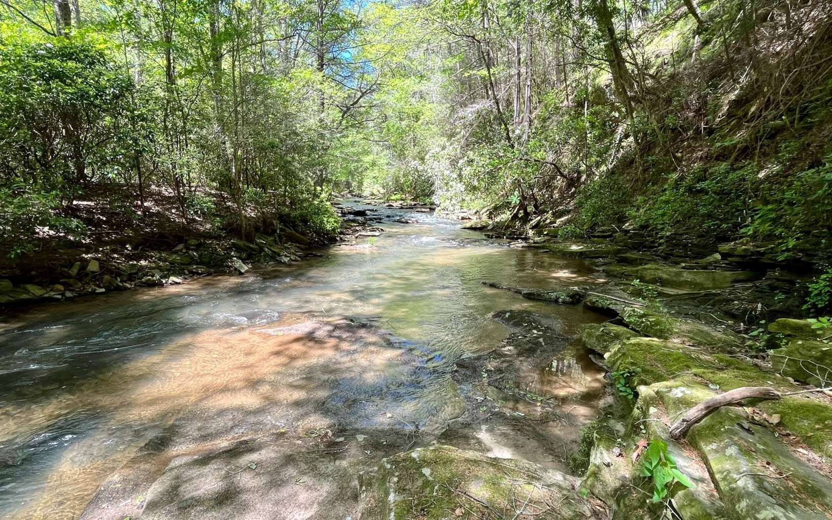 FAUCETT CREEKFRONT LOT IN MOUNTAIN CREEK HOLLOW! With a driveway already cut-in, this one-acre lot offers a building spot away from the road, but overlooking your own gorgeous creek frontage. Rock out-croppings along the lower portion of the lot adorn the bank of the creek, with a manageable path to walk down to the water. If you’re looking for a nice blend of mountain living and rustic elegance, consider the cost savings of privately maintained & easy to navigate paved road, Internet access, and community water in this established community. You’ll also enjoy the walking paths, small park-like common area, convenience to Jasper or Ellijay, local wineries and plenty of outdoor adventures nearby! GATED COMMUNITY, MUST BE W/AGENT.