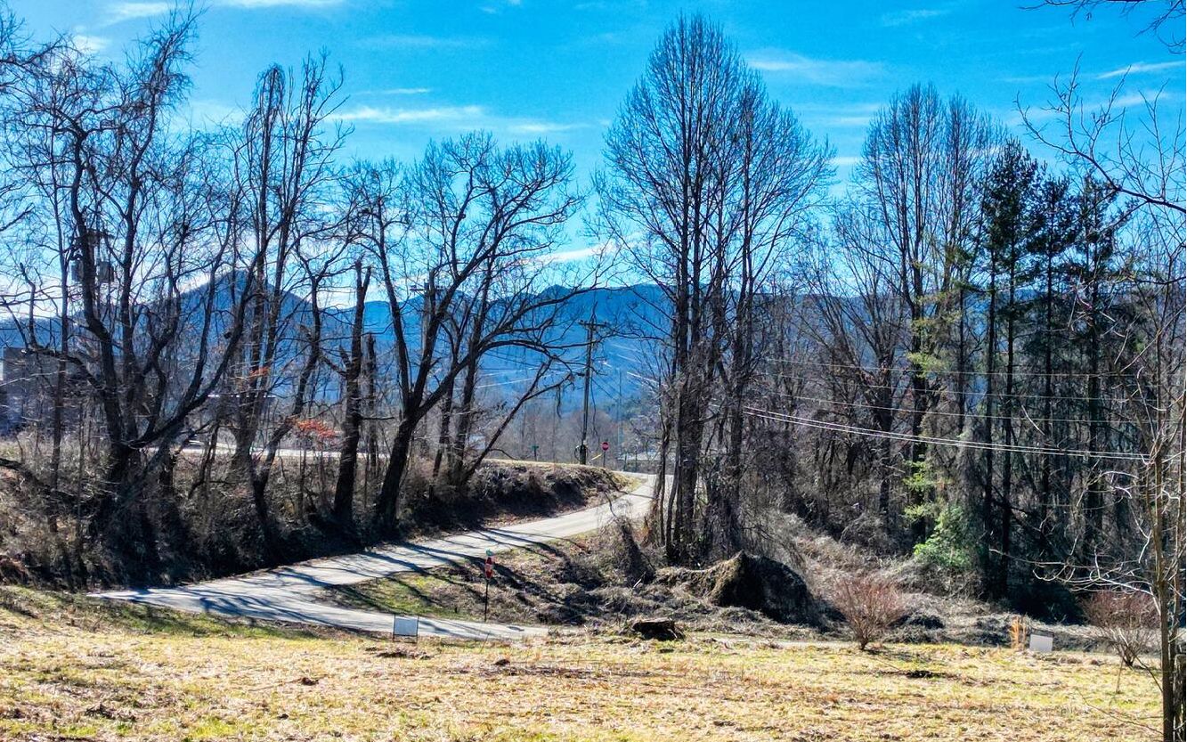 AMAZING LEVEL LOT in a prime location with YEAR ROUND LONG RANGE MOUNTAIN Views! GORGEOUS views of Brasstown Bald! Walking distance to Ingles & Downtown Hiawassee! The Lot is cleared and ready for you to build. City Water and Sewer is available. Call me before it's gone!