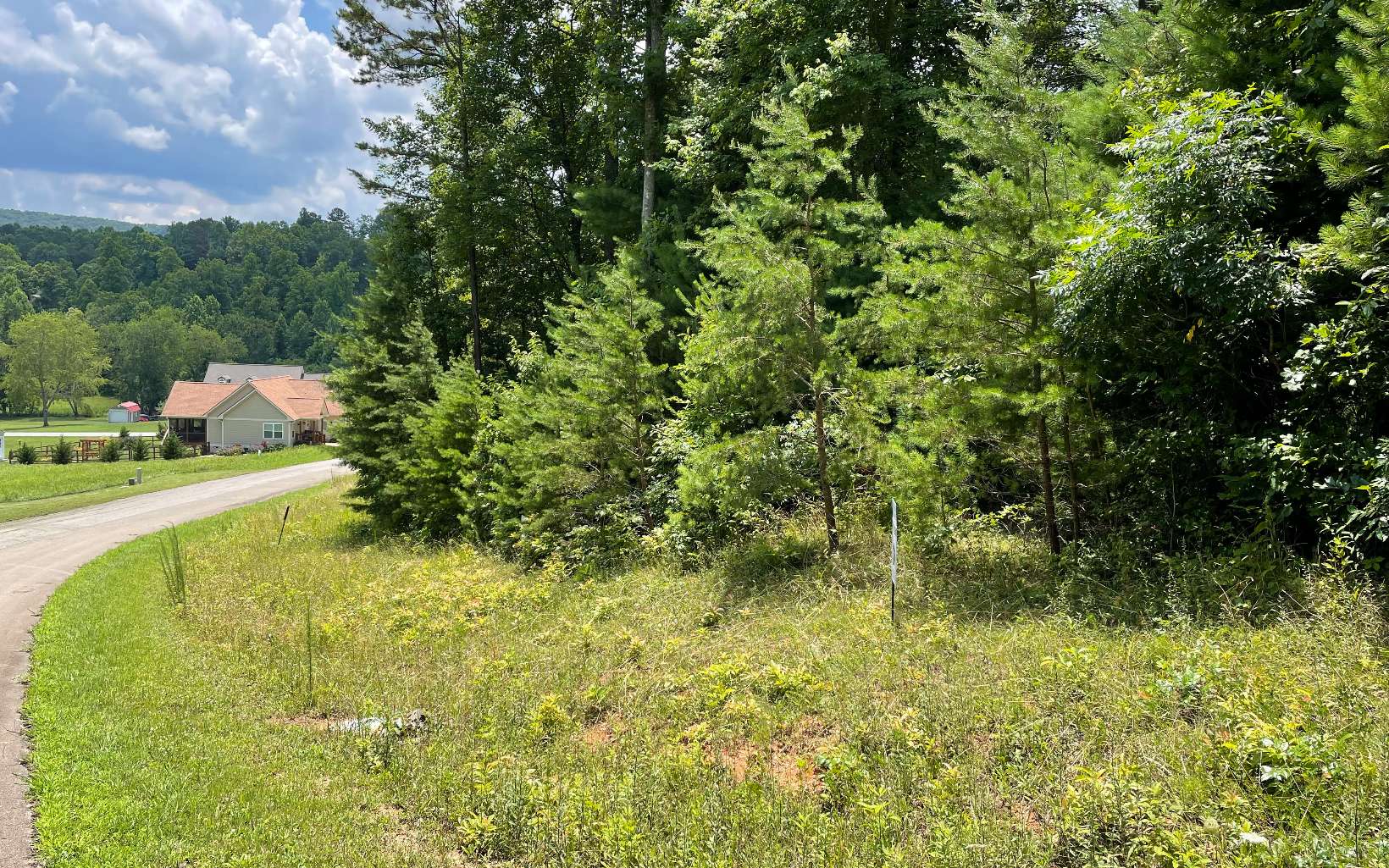 Nice level lot in a beautiful neighborhood for your home. Not far from town. Plenty of activities to enjoy here in Blairsville, hiking, boating, parks and recreation...come check it out. Level 3 soil report available.