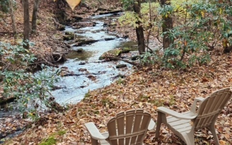 One of the prettiest 1/2 acre lots in Copperhead Lodge. The cabin sits on a fabulous LOUD creek with a beautiful year round view. There are 2 screened in porches one of which is decorated with beautiful outdoor LR furniture facing the creek. The home is adorable, has all new appliances, 2 TVs, gas grill and a great garage for all your toys. Included in the sale are all the furnishings, towels, linens, dishes. Turnkey for someone to move right in. There is a spot for parking bike trailers at entrance of property. What a cool place to use as a weekend spot or a rental. If you have never been here you should check it out. Lovely neighbors enjoying life in the N GA Mnts by car or by motorcycles. Come kick back in a super laid back community designed for fun!