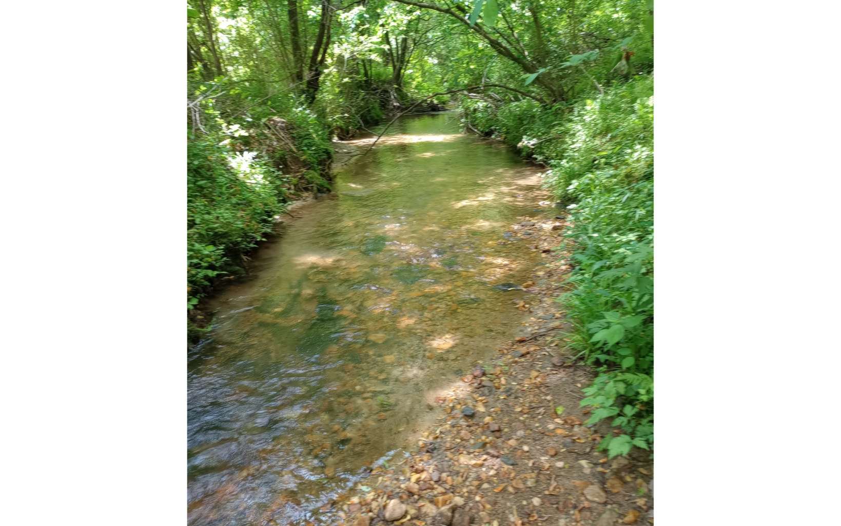 UNRESTRICTED CREEKFRONT 2 AC!! This one won't last! Bring your camper to use til you build. Private, all wooded, large trees, on a dead-end road with nearly 200' on lovely Stover Creek. See to appreciate! Located near USFS land and miles of hiking trails and rivers.