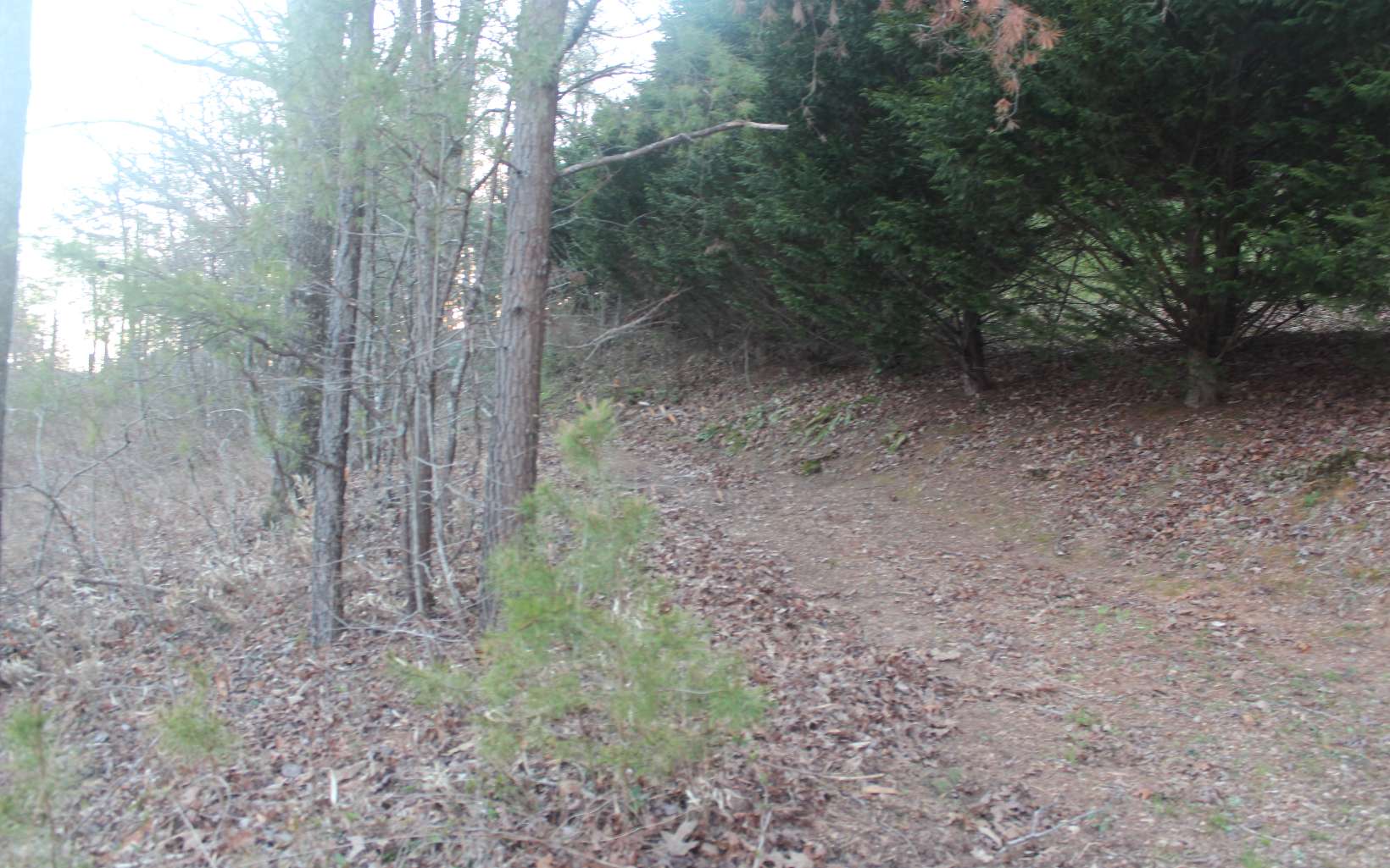 Build your dream home on this 1 acre wooded lot. Gentle slope and with some clearing of the trees will have Awesome views. Underground utilities, county water available, paved roads and easy access to property. Conveniently located close to Lake Chatuge, public boat ramp, nice restaurants, and shopping. Very easy to build on.