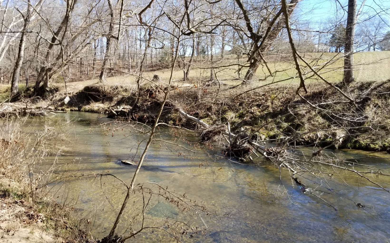 Build your escape home on Brass Town Creek. One of of the best trout streams in the area. In addition to the lovely fast flowing creek, there are excellent seasonal meadow views on the other side. Priced under assessed value. Road and building pad will need to be developed.