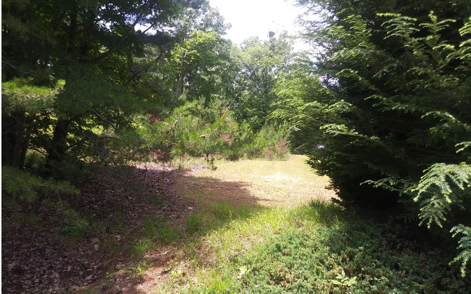 Come build your mountain home in desirable area only 10 minutes from Carters Lake. Fishing, boating, camping, and hiking only moments away. Ideally located between Ellijay and Chatsworth with mostly paved roads leading to the property (last 100 ft is gravel). Heavily wooded corner lot with approx 208 feet along Lakeland Drive. Great for cabin or full time home. No mobile or manufactured homes permitted. Electricity (Amicalola EMC) and internet (ETC) available. Lot will require septic and private well. HOA is mandatory. Dues are $300/Year.