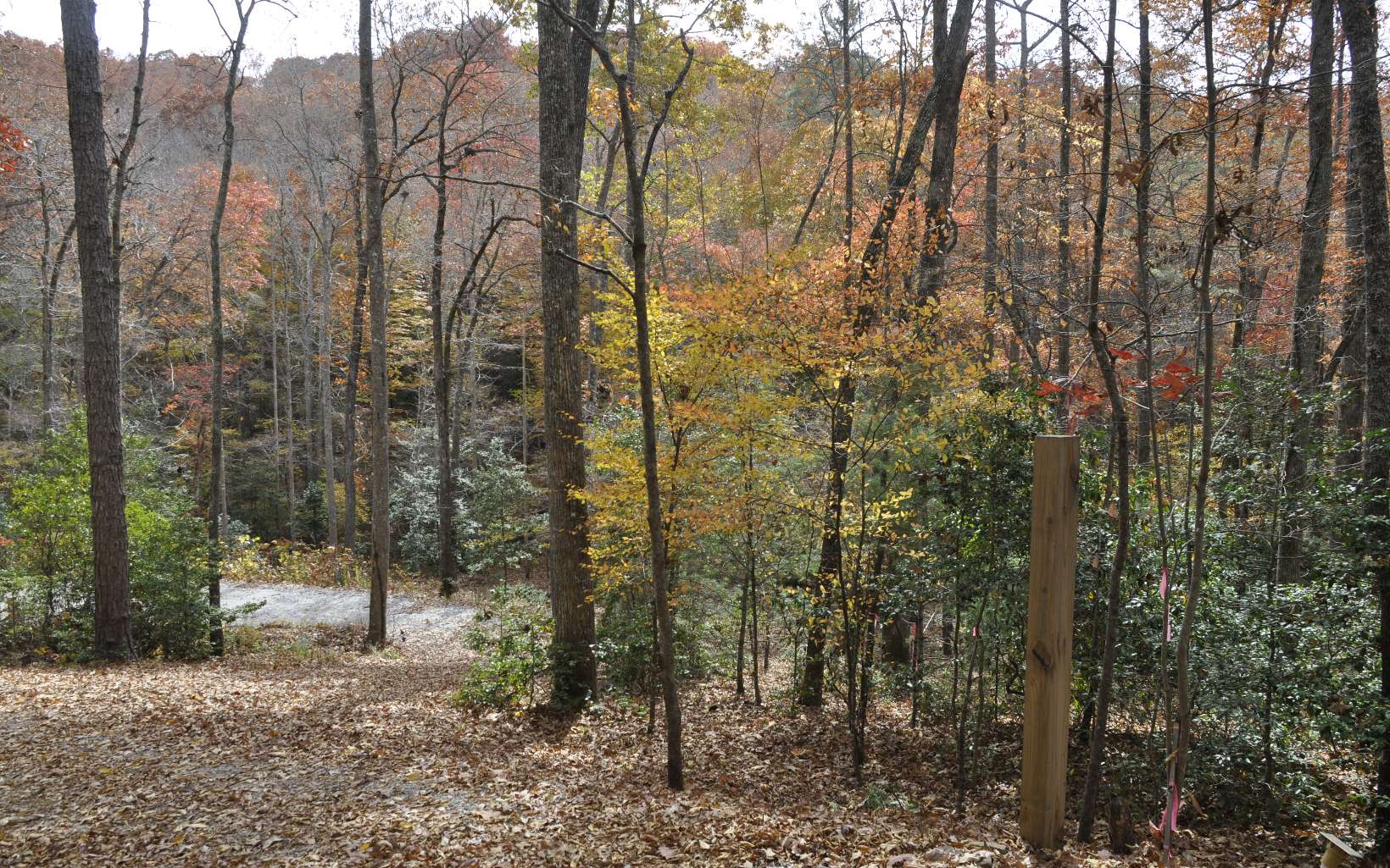 Two Lovely lots located in desirable Laurel Glen subdivision with easy road access to the land. Creek nearby at rear of property. Fiber Optic network coming soon to area please verify with BRMEMC. Lot 2 has been upgraded with electric and driveway cut in, including gravel to a level building site. Close to downtown Blairsville and area shopping.
