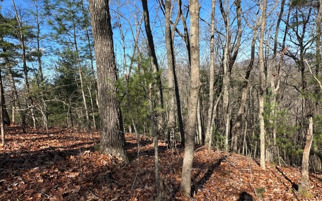 Fantastic 6 unrestricted acres with a little trimming panoramic mountain views from a great building spot for your dream home in the mountains. Located close to Blue Ridge and McCaysville. Come take a look for yourself.