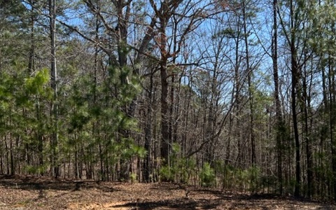 2.59 acre lot inside gated portion of Lakeland Estates (Phase 2). Nice high elevation building site. This is one of the highest elevation lots in Lakeland Estates and this provides expansive views in all directions to include Carter's Lake and North Georgia Mountains. Maintained deeded easement/road already in place to building site. Over 200 feet of water frontage across 2 fishing ponds. Also includes Berm between the ponds which could be used to build a fishing dock/hut. HOA dues are $690/year; primarily for gate upkeep; trash service; and road maintenance. Lakeland Estates contains over 20 miles of scenic deeded walking trails. Some of which lead to Carter's Lake shoreline. Homes in the gated portion of Lakeland Estates range from $450k to well over $1m.
