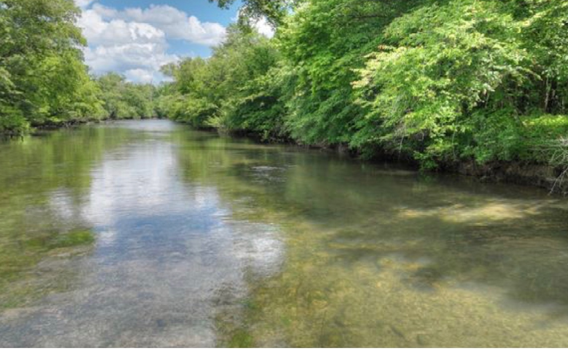 Own your very own Toccoa River access lot and build your beautiful dream cabin on. Just minutes from downtown Blue Ridge, shopping and grocery stores yet secluded!
