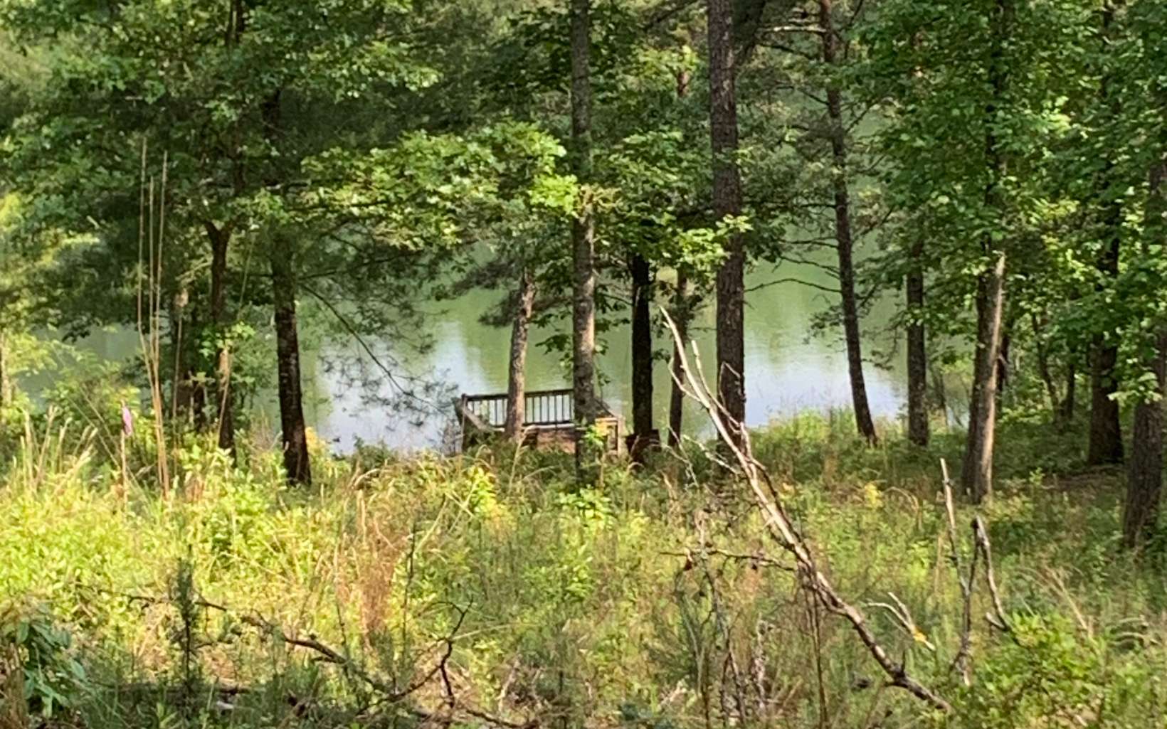This hidden treasure of land/and pond, host a beautiful building site, you will share the pond with one neighbor. great views. This would make a great retreat, church camp sites,and bass fishing pond for the guy what want his own get away. Close to Blue Ridge for shopping and fine dinning. Call today to see it.