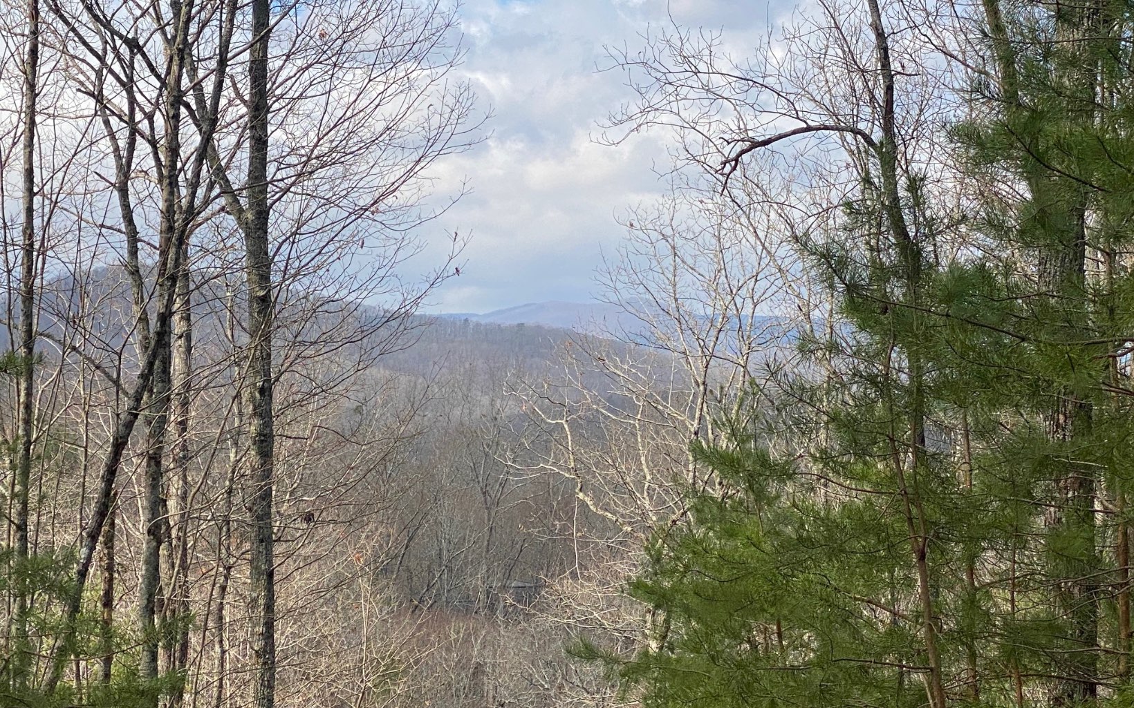 Stunning Year Round Mountain Views from this 1+ acre lot in the popular Cohutta/ Sunrock area. Easy drive to Historic Downtown Blue Ridge and all of the outdoor activities this area has to offer. Community water, & underground power. Additional lots available.