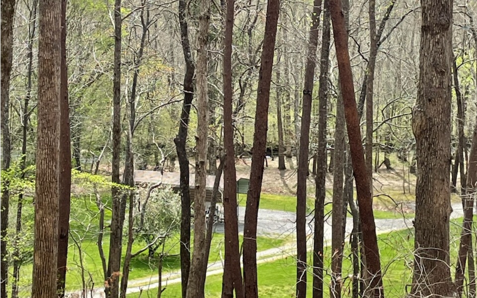 A Beautiful lot with views of a park-like setting & of Brasstown Creek across street. Easy Building lot with public water available. Close to Young Harris College, Brasstown Valley Resort with golf , spa & lodge. Lake Chatuge minutes away!!