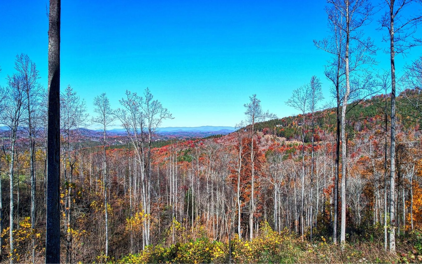 SPECTACULAR YEAR ROUND MOUNTAIN VIEWS from this 1.84 acre lot located in the premier THIRTEEN HUNDRED community on Lake Nottely in the North Georgia Mountains. Awesome HIGH ELEVATION lot! Unobstructed year round long range view! Soil perked and ready to build. Can easily walk to the pool! Includes gated entry, saltwater pool, clubhouse lodge, lake access with boat ramp & community covered boat slips, kayak racks, lakeside fire pit, lakeside park, equestrian area for horses, hiking trails & more! All of this with only a low HOA yearly due of $600! Only 10 minutes back to Blairsville & all paved roads. Easy access! Make Blairsville GA your home!