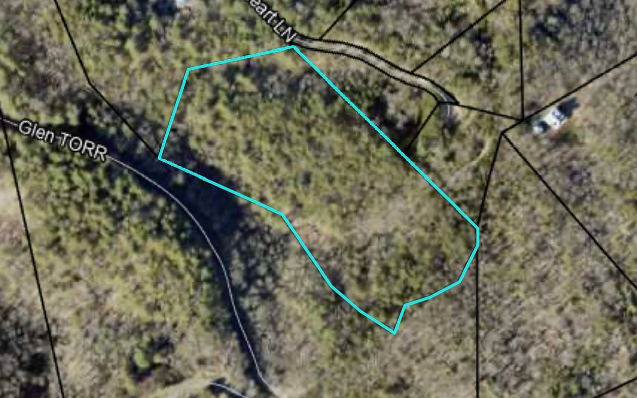 Looking for UNRESTRICTED acres located in beautiful Fannin County? 10.17 acres with mountain views. Great place to build your dream home or maybe a couple of homes on. Property is Landlocked