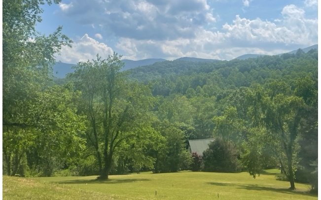 Enjoy the beautiful breath taking mountain views year round from this almost 2 acre gentle laying lot. Build your dream home in the historical Choestoe Valley of Blairsville, Ga. close to Bald Mt. the highest point in Ga., Appalachian Trail, and Vogel State Park. Enjoy dipping your feet in the Nottely River at the Common area.