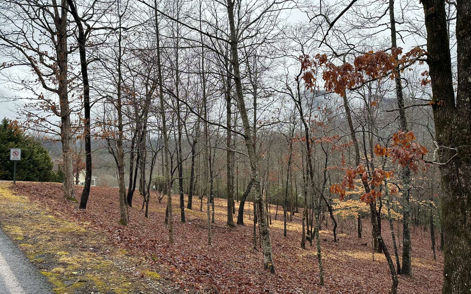 This is ONE OF THE BEST Subdivisions in Young Harris, GA! Gentle Lot, Easy to Build on, Good Access & Great Views! Very Close to Brasstown Valley Resort & Young Harris College. Come and take a look at this Great Lot Located in a Beautiful Neighborhood with Beautiful Homes!