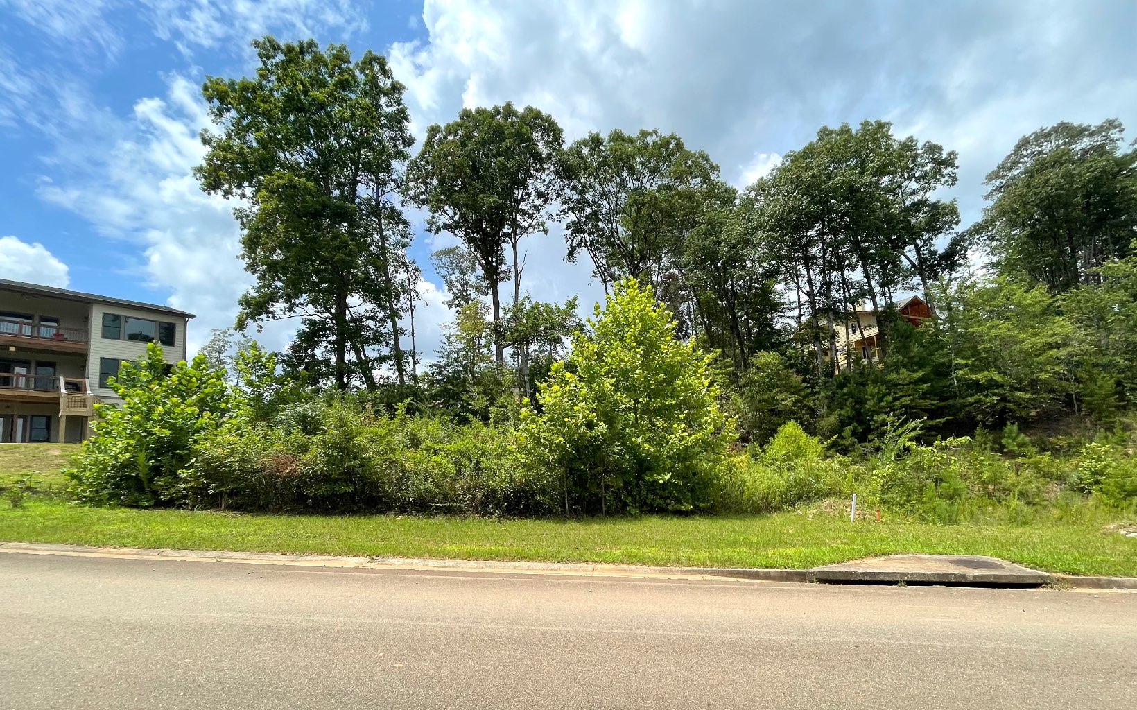 Looking for a great neighborhood to build your next home? Welcome to The Summit at Ellijay! Located within city limits just 1.5 miles from the Historic Downtown Ellijay district, this gated community has all paved roads--underground utilities including public sewer, public water, and high speed internet. This lot will have gorgeous year-round views once trees are cleared from the building site. Bring your builder or we can recommend one! Short term rentals are allowed in this community. You will be hard pressed to find a more convenient location to build your dream home! Additional lots available if you are looking for more acreage.