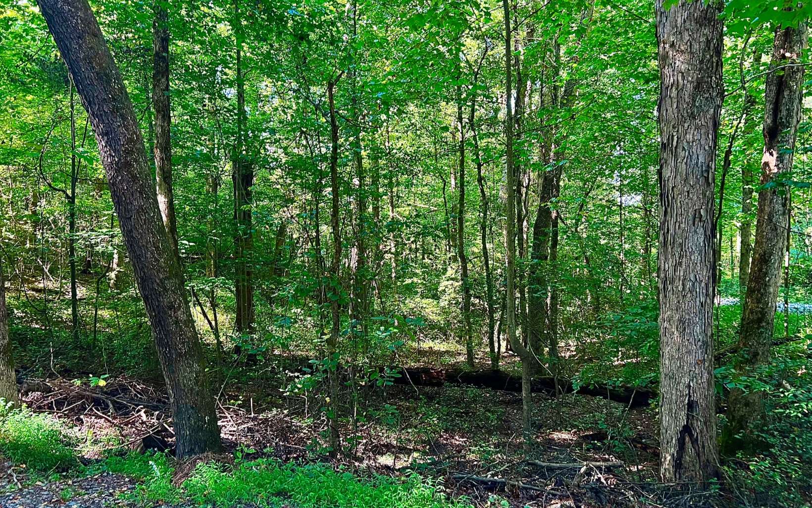 Looking for a beautiful and flat lot in Ellijay that is less than 10 minutes from Downtown Ellijay? Look no further! This beautiful lot is ready for you to come and build now! Great cell service, High Speed Internet available, Telephone available! Conveniently located near many Apple Orchards and Wineries in Ellijay! Bring your builder and get started today!