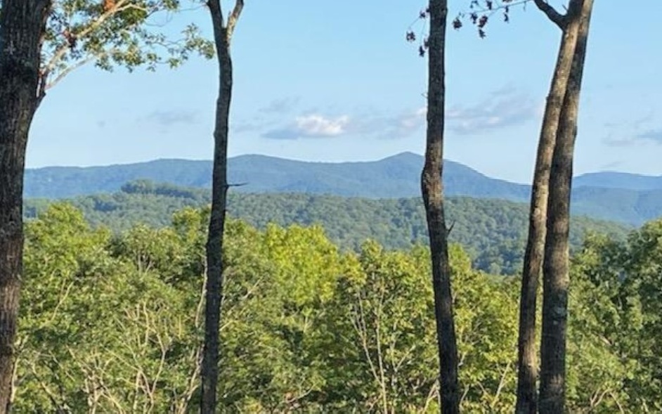 Ideally located in the developing community of Bearden Farms Overlook, this 4.19 acre lot is located less than 5 miles from downtown Blue Ridge, yet it is in a world of its own. This is your opportunity to build a dream mountain home. Premier access to fishing, hiking trails, and gorgeous mountain views. Don't miss your chance to enjoy the rustic and refined beauty of the Blue Ridge Mountains.