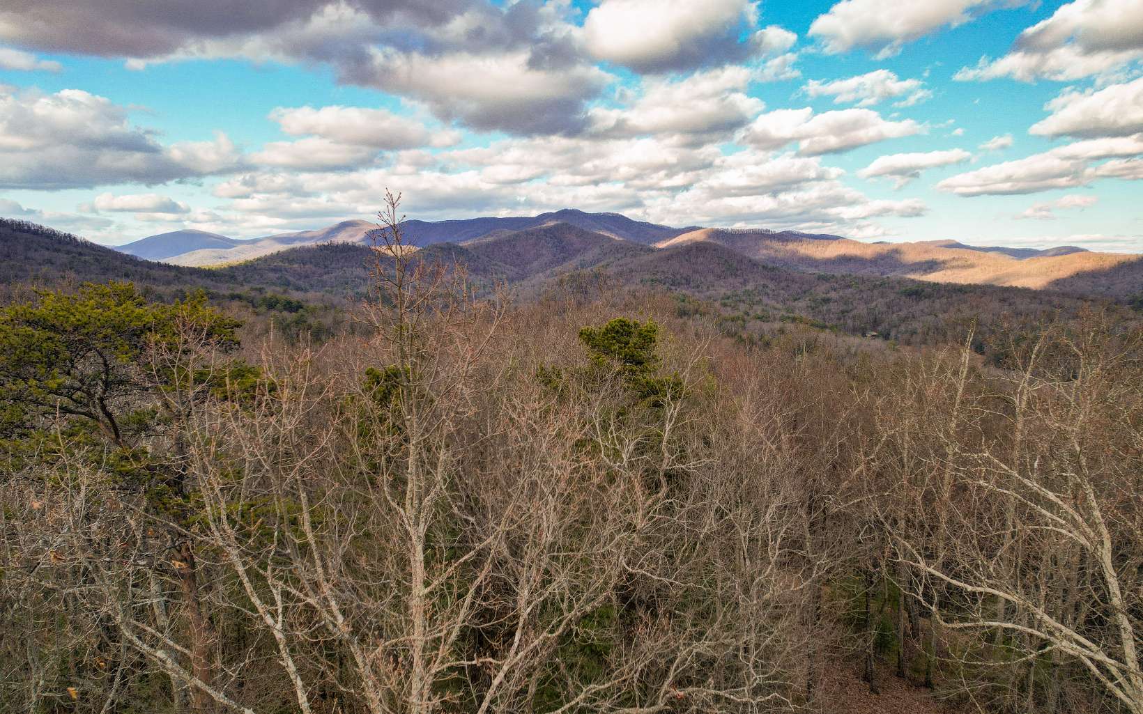 Excellent opportunity to get in on that large mountain tract you've been waiting for! This 36.32 acre property delivers on so many levels... panoramic mountain views, spring fed creeks and streams, well-maintained gravel roads (yes, a 2WD car can make it up), privacy, close to town, flowering mountain laurel's, giant hardwoods, and abundant wildlife! From the flat-top ridge line you can see mountain ranges as far as the eye can see, just imagine it! Whether you desire land all for yourself, a family compound, or development opportunity... the sky's the limit here. Located 5 miles from charming downtown Ellijay with boutique shopping and 5 star restaurants; but feels a world away! It's time!