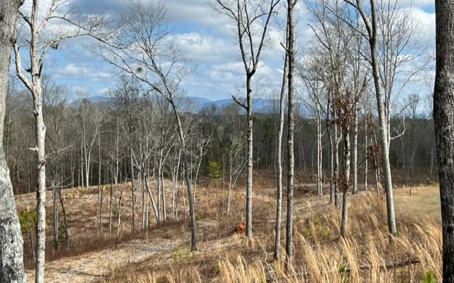 3.52 acre lot with year round Mtn views. Only 10 minutes from DT Ellijay in the gated community of High River that offers underground utilities, paved roads, walking trails, Lodge, clubhouse, restaurant, several campfire locations, kayak storage and fishing are all available at High River. With the HOA allowing your choice of builder along with short-term rentals, this lot is perfect for your primary or secondary residence. Stay home and enjoy the amenities or venture out; there's plenty to do and see!