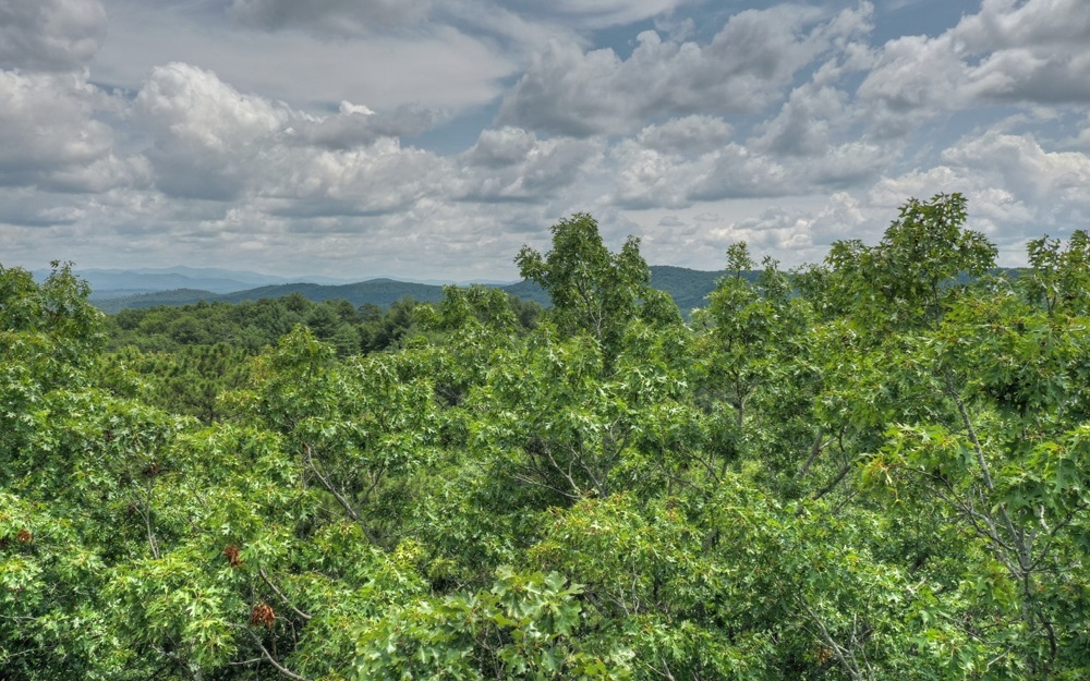 Here it is! Drop dead gorgeous View!!!!!! Over 2 acres! Private!!!! Come build your dream cabin on this fabulous uncut lot! Located in gorgeous Morganton, GA! Boating hiking and small town charm are all around. This could be The One! Utilities at road, ready for you!