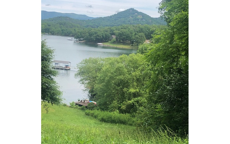 LAKEFRONT LOT 1/2 mile from Hiawassee in established subdivision. This lot has a dock, is flat to the lake & has a year round view. Also has a small stream on right side.