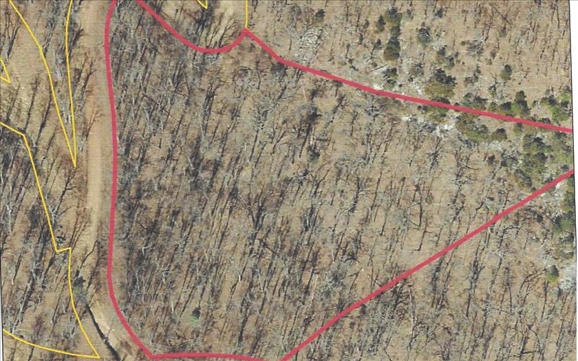3.372 acres just outside Hiawassee city limit on newly paved Bell Mountain Road within quick walk to USFS land. Unrestricted property great for camping on until you build. Newly paved, county maintained road! Just a couple of minutes up to new Bell Mountain Park!