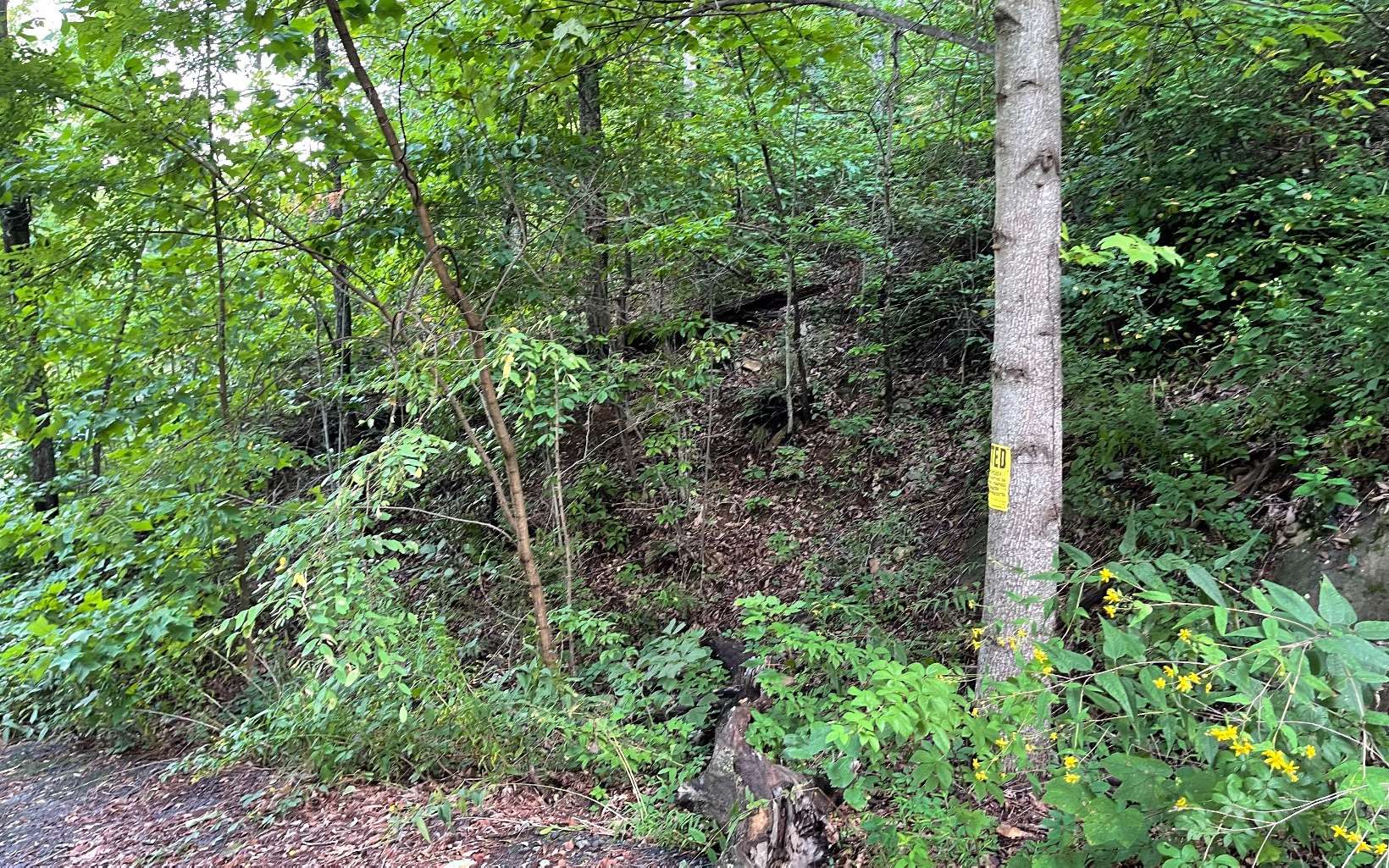 3.6 BEAUTIFULLY WOODED ACRES IN THE MOUNTAINS OF NORTH GEORGIA!! Located in a paved subdivision with large lots providing each owner private peace & quiet, this tract would be perfect for building a mountain getaway. Mountain and lake views with clearing.
