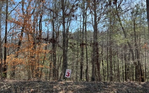3.45 acre lot inside gated portion of Lakeland Estates (Phase 2). Nice high elevation building site. This is one of the highest elevation lots in Lakeland Estates and this provides expansive views in all directions to include Carter's Lake and North Georgia Mountains. Maintained deeded easement/road already in place to building site. Over 200 feet of water frontage across 2 fishing ponds. Also includes Berm between the ponds which could be used to build a fishing dock/hut. HOA dues are $690/year; primarily for gate upkeep; trash service; and road maintenance. Lakeland Estates contains over 20 miles of scenic deeded walking trails. Some of which lead to Carter's Lake shoreline. Homes in the gated portion of Lakeland Estates range from $450k to well over $1m.