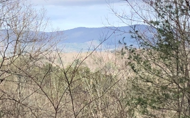 Bring us an offer! Turkey Knob Estates could be the perfect site for your future home...with these fabulous views from this 2-acre lot. If seeking serenity in the Mountains of North Georgia, this is the place! Sights and sounds of nature abound. No short term rentals.