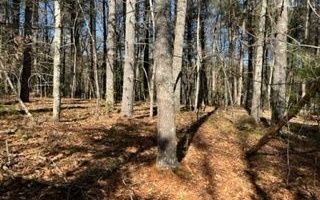 Gentle, wooded vacant lot just minutes From Young Harris and with city water, paved roads and underground utilities. Sensible restrictions make this the ideal place to build your new dream home.