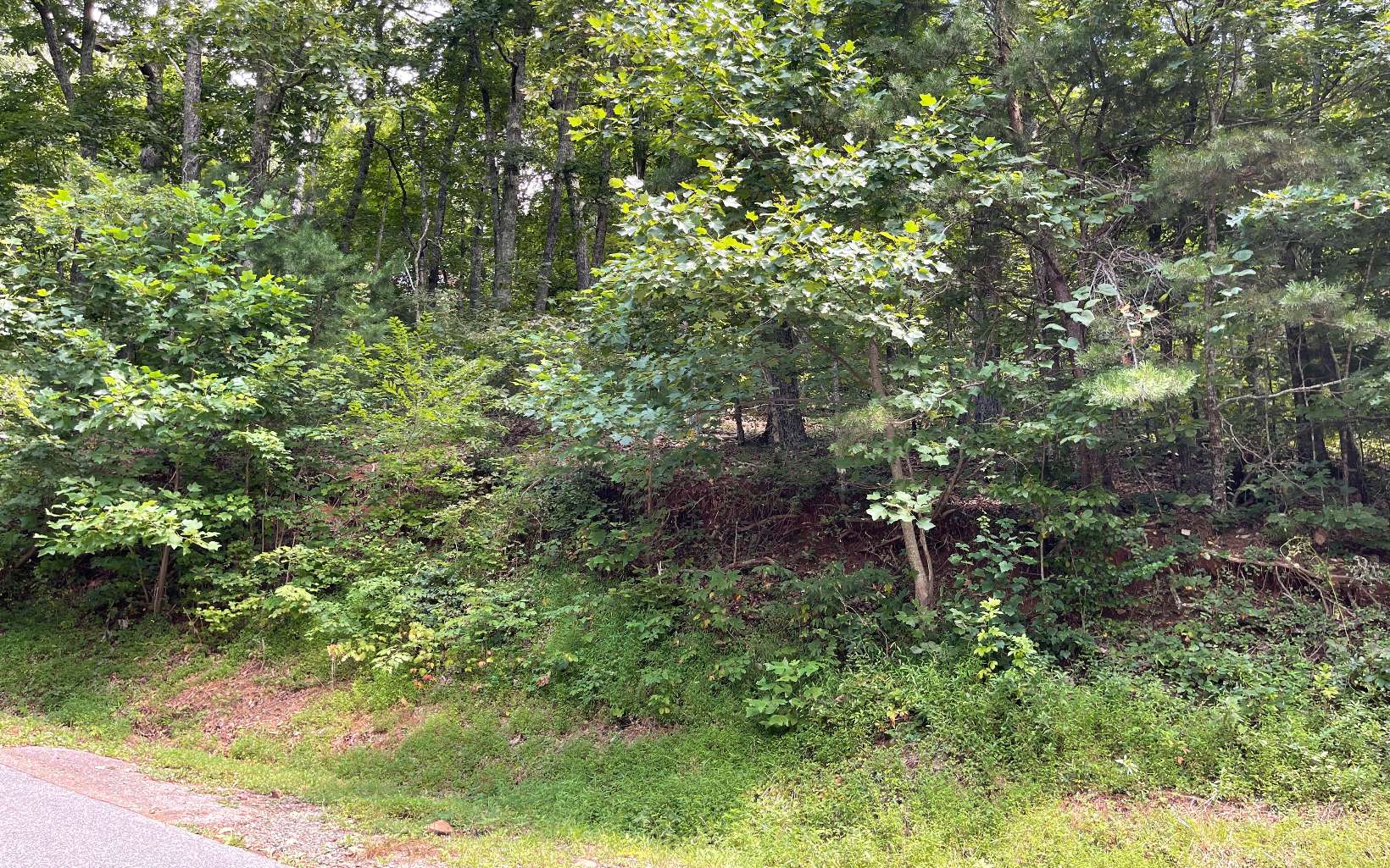 Looking for the perfect lot to build your little mountain getaway? With building restrictions requiring a minimum of only 800 sf, this is it! This 0.68 acre lot is located in the heart of downtown Hiawassee, near dining & shopping as well as Lake Chatuge. Beautiful views overlooking town, with the mountains in the background. Lot 7 also available.