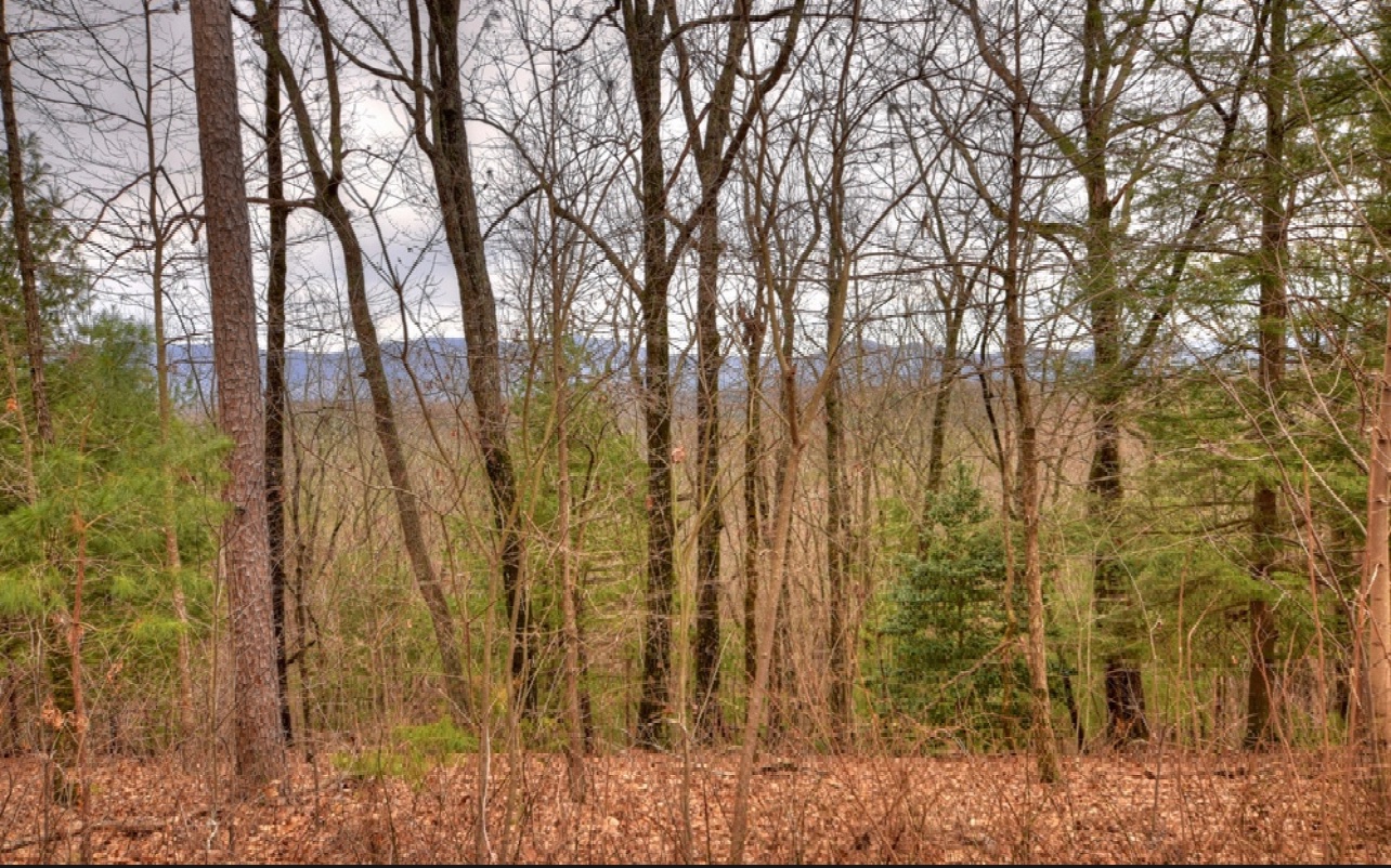 Gorgeous Mountain Views and upscale neighborhood! This lot features year round views but also a gentle slope from the road allowing for a nice spot to build. The neighborhood has under ground electric and wide paved roads. This property is 10 minutes from Ellijay and 25 from blue ridge.