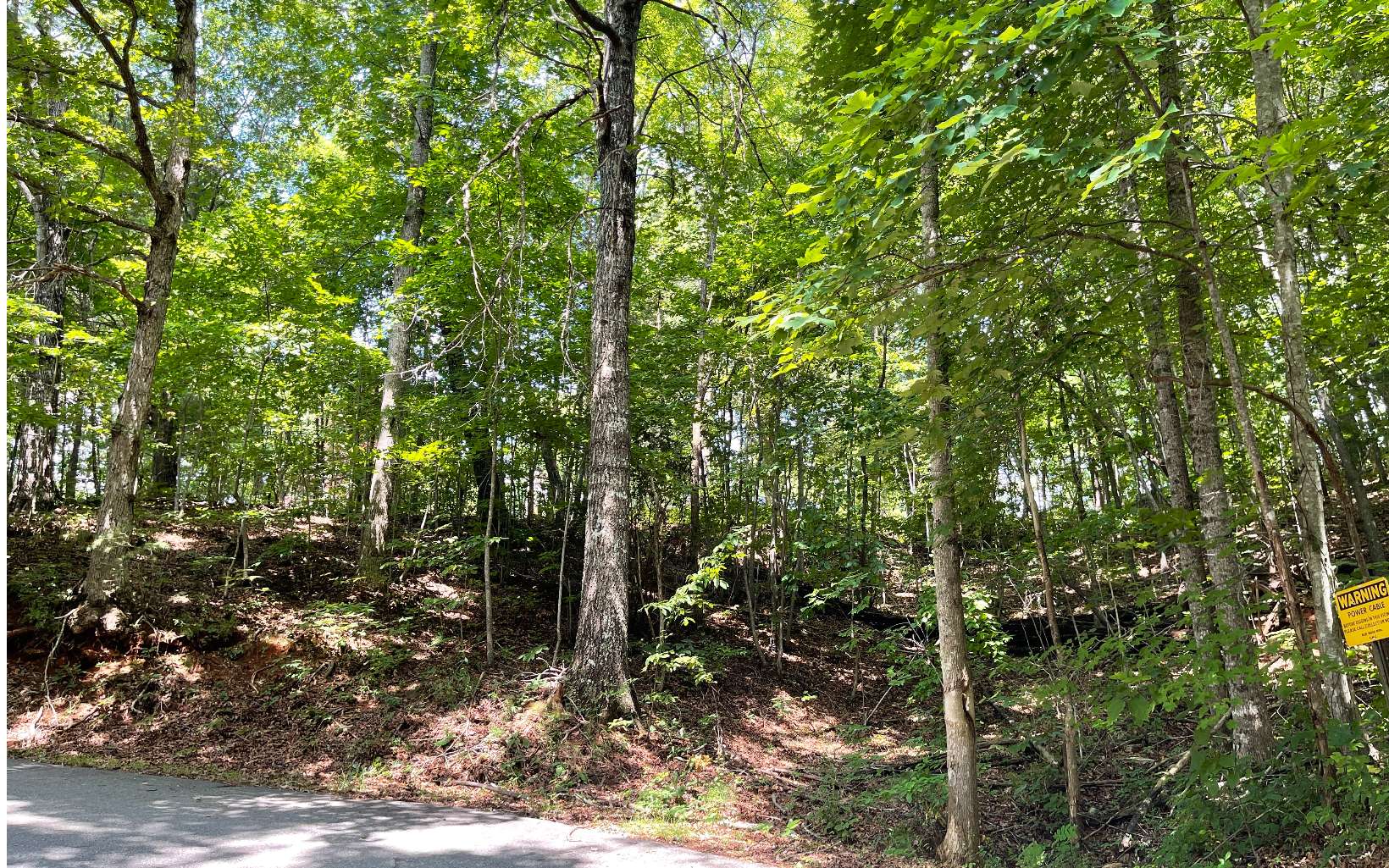 Looking for the perfect lot to build your little mountain getaway? With building restrictions requiring a minimum of only 800 sf, this is it! This 0.76 acre lot is located in the heart of downtown Hiawassee, near dining & shopping as well as Lake Chatuge. Beautiful views overlooking town, with the mountains in the background. Lot 10 also available.