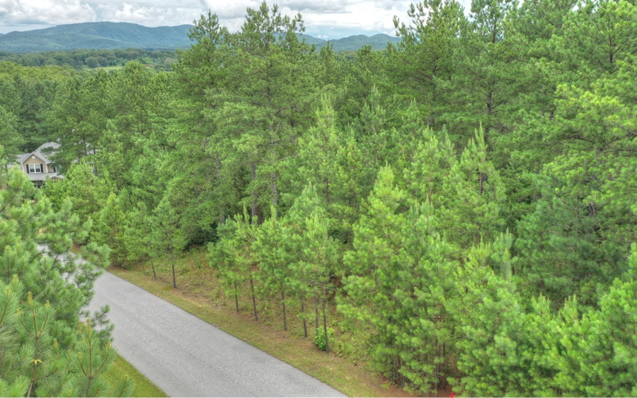 The mountains are calling... Located in the lovely Loftis Mountain community, this beautifully wooded lot contains 1.02 acres and boasts beautiful mountain views. This community is just a short drive to downtown Blairsville, Murphy, and Lake Nottely. You’ll enjoy the convenience to all of your everyday needs - schools, medical facilities, dining, entertainment & more. With a site evaluation already completed to allow for a 3-4 bedroom septic, this is the perfect place to build your home whether you are considering full-time or part-time. Grab your builder, and let's get to work. Welcome to the North GA Mountains!