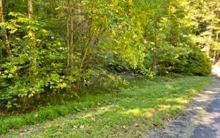 Wooded lot in a great subdivision with nice homes and convenient to Hiawassee. Lot is ideally suited for a basement home. All paved roads and public utilities. Great spot for your forever home.