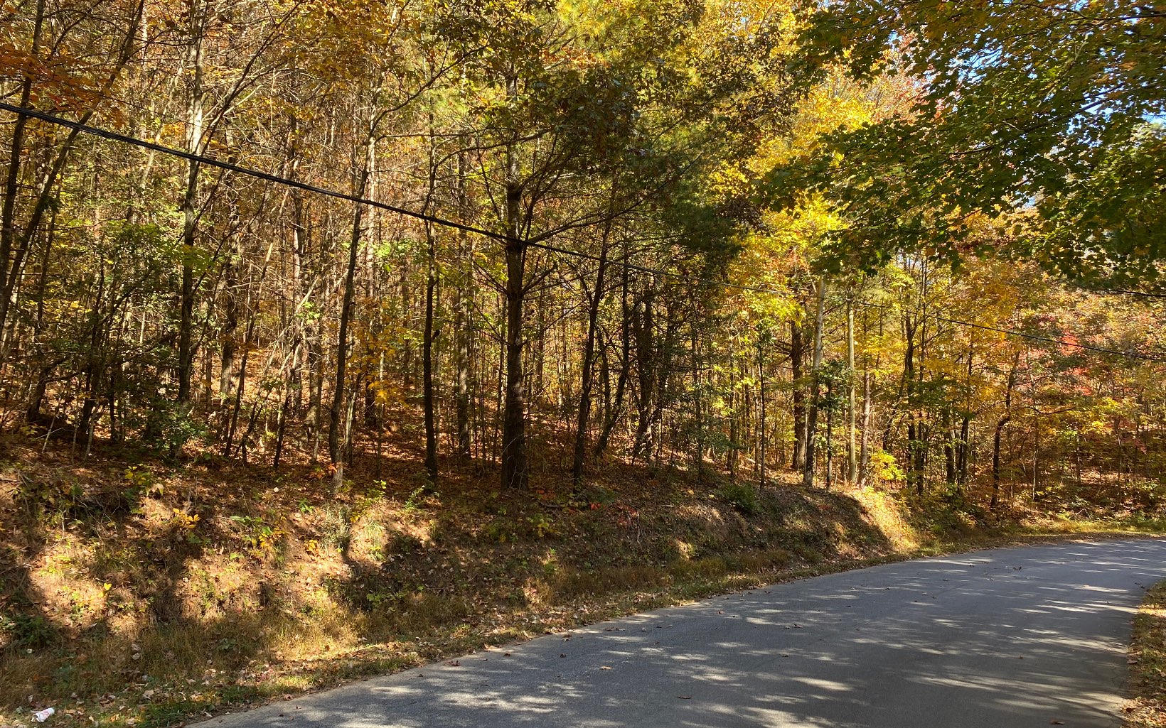 UNRESTRICTED NORTH GEORGIA MOUNTAIN ACREAGE - This 13.94 Acres features Very Gentle Terrain, Large Hardwoods, Paved Road Frontage, Easy Access, Close to Downtown Ellijay and Shopping/Restaurants.
