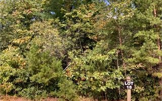 Recreating this Mountain Community, Lot 18 is 1.83 acres, ready to build on. This gated mountain community is centrally located between Dawsonville and Ellijay which makes it the place to build. Bring your builder or use one of our preferred builders to build your dream home. Protective Covenants with minimal HOA fees, just a $1 a day. Come take a look, you won't be disappointed!