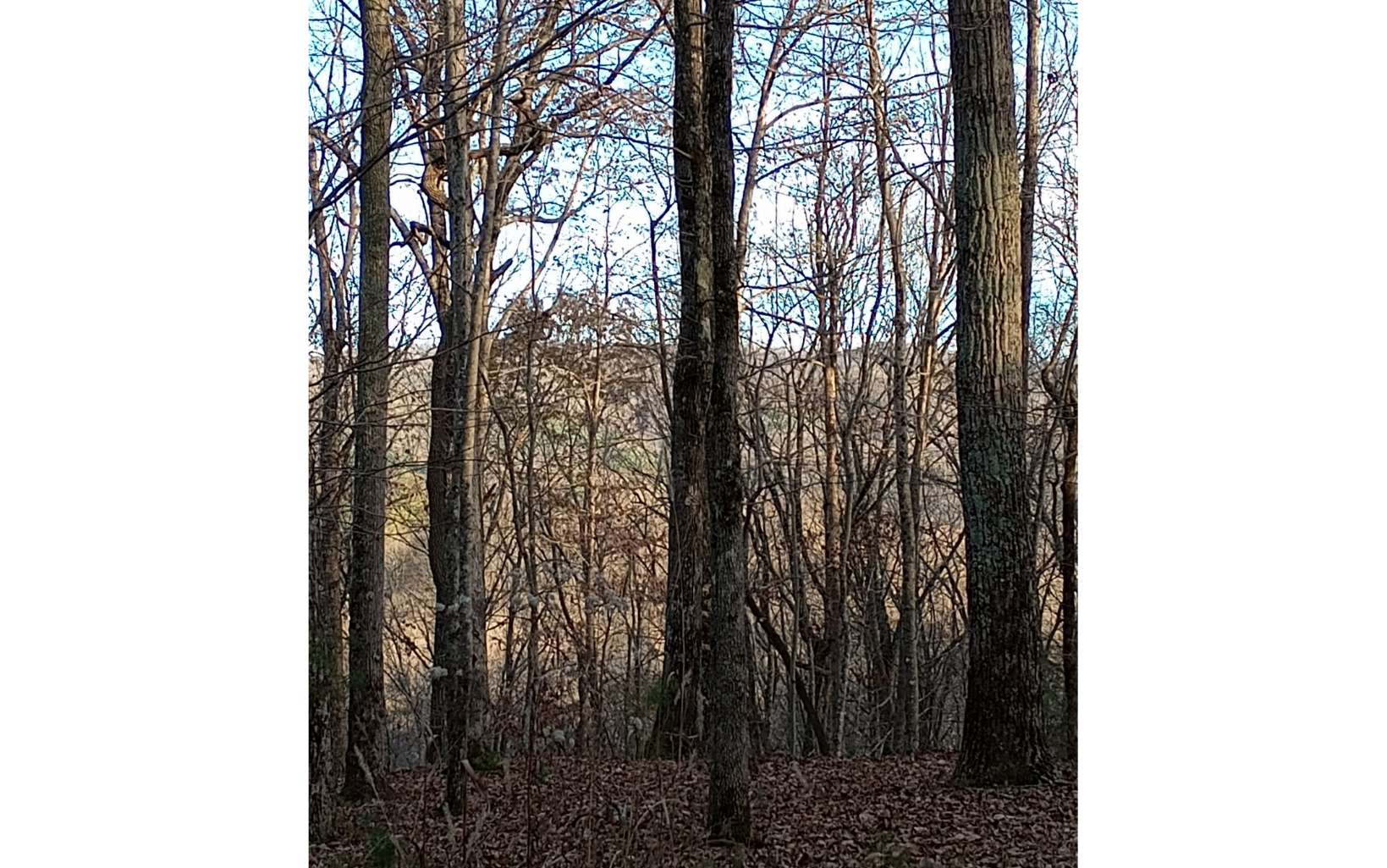 Beautiful, wooded building lot in a gorgeous area of fine homes built by Keith Sumner. Priced at a steal!! Sellers loss is your gain!