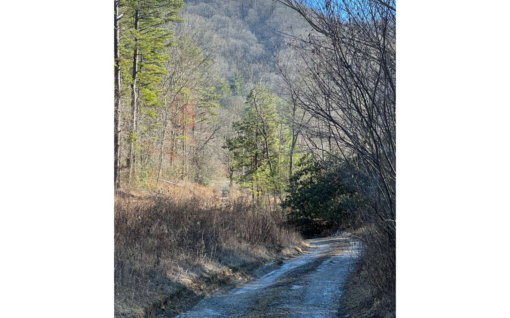 Affordable Wildlife Habitat! 6.13 Acres of Wooded Acreage w/ Bubbly Creek , Lots of Timber & an abundance of rhododendron & mountain laurels! Will have long driveway into this Private haven. Perfect place in the mountains for a New Cabin. Survey! Approx. 11.2 Miles to Blue Ridge.