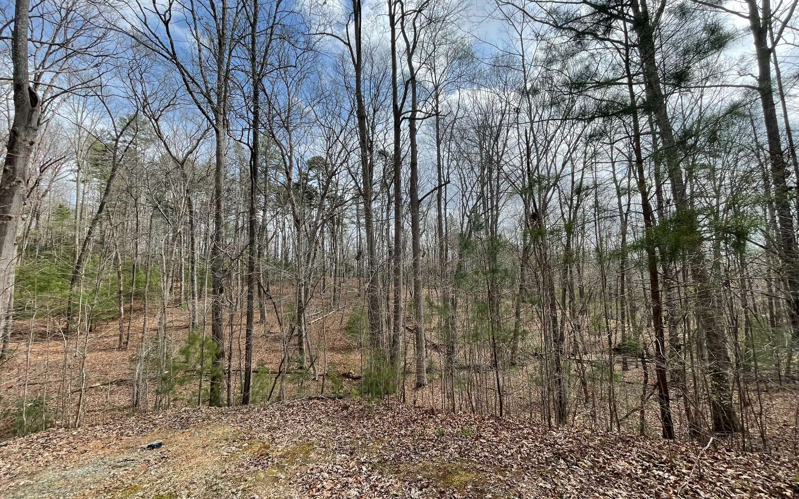 BEAUTIFULLY WOODED LOT IN THE NORTH GEORGIA MOUNTAINS!! This 1.7 acre lot located in Pinnacle Point in Blairsville, Georgia borders the USFS and offers paved roads, underground utilities, gated entrance. Spring Head located on lower corner of lot. Tons of beautiful hardwoods throughout. Conveniently located between Blue Ridge and Blairsville, hiking trails, Lake Nottely or Lake Blue Ridge. THE PERFECT PLACE TO BUILD YOUR HOME IN THE NORTH GEORGIA MOUNTAINS!
