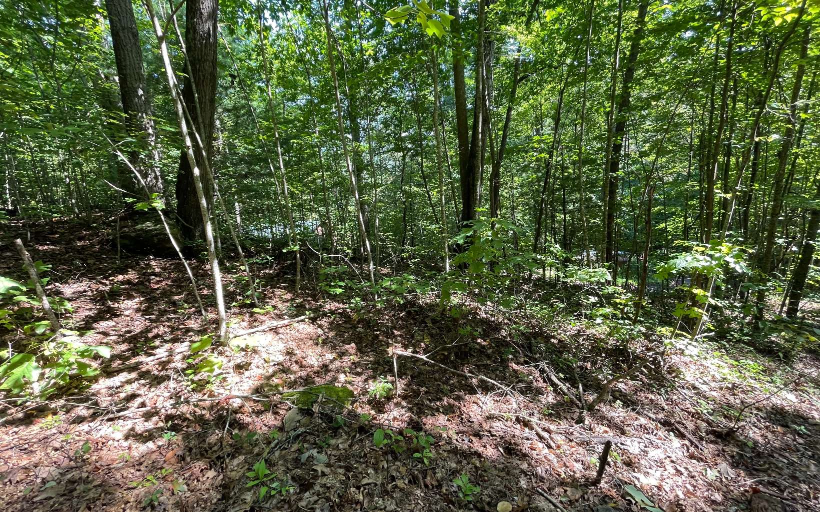 BEAUTIFULLY WOODED LOT IN THE MOUNTAINS OF NORTH GEORGIA! Located in the small town of Hiawassee, GA this lot would be the perfect place to build your mountain retreat. Fresh clean air, lots of wildlife and the peace & quiet we all seek.